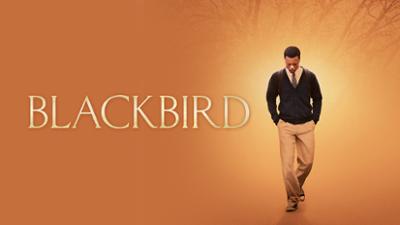 Blackbird - DRAMA category image