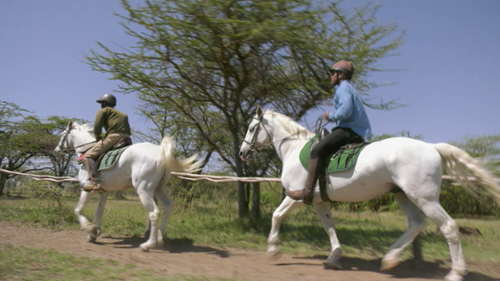 World Wide Nate: African Adventures - Galloping with the Wildebeest in Kenya